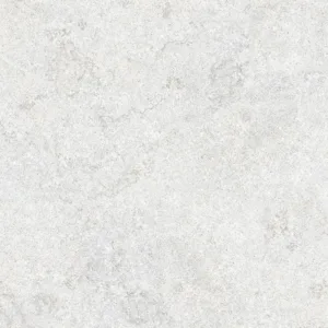 Piso Darwin CZ EXT Retificado 60x60 Extra Formigres