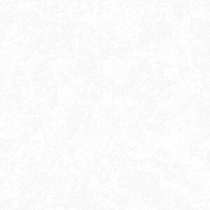 Piso Barranquilla Blanco 50x50 1A